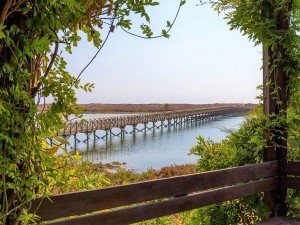 A bridge links Quinta do Lago with the Ria Formosa National Park