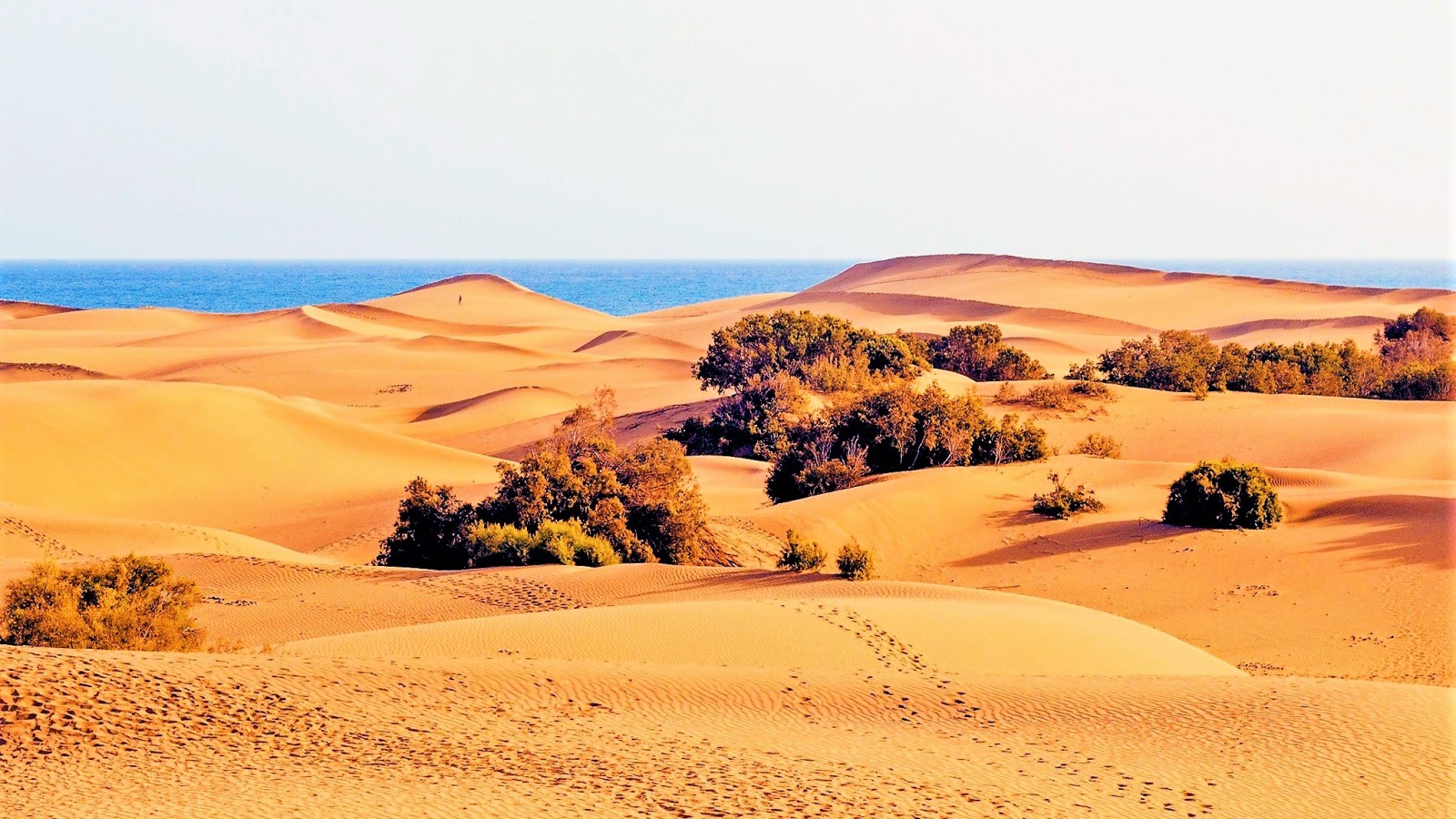The wonderful golden dunes of Maspalomas