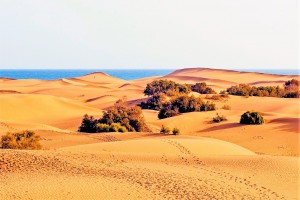 The wonderful golden dunes of Maspalomas
