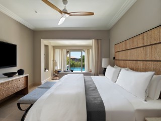 Superior Infinity Garden View Room