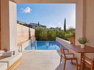 Superior Infinity Room Resort View + Private Pool