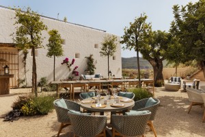 Orchard by day